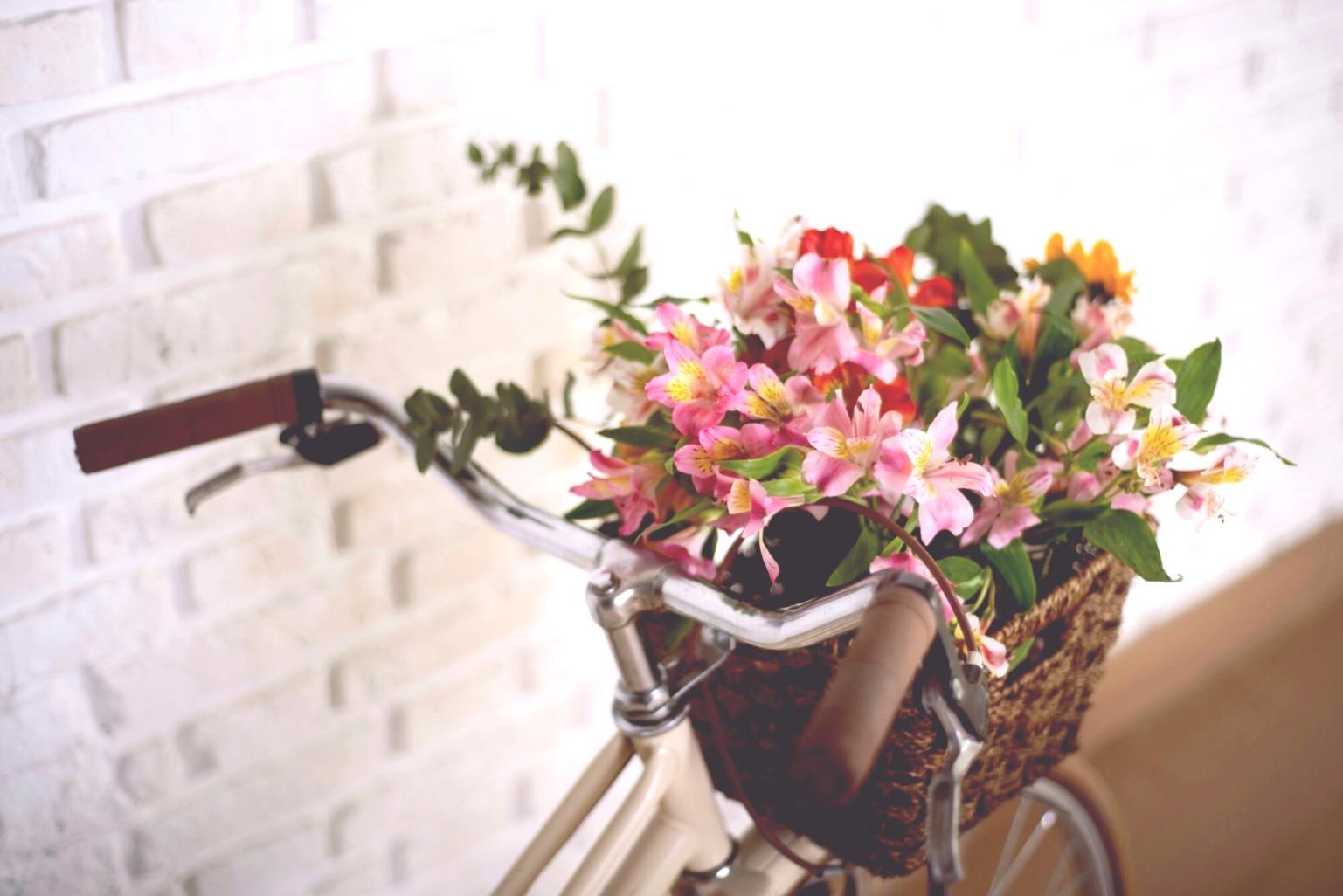 Hastalık teşhisi ve tedavi